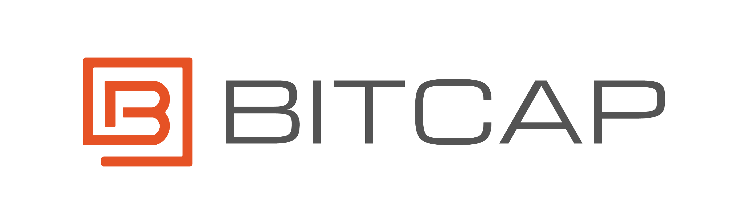 Bitcap Inc - PathFinder Geosteering Software